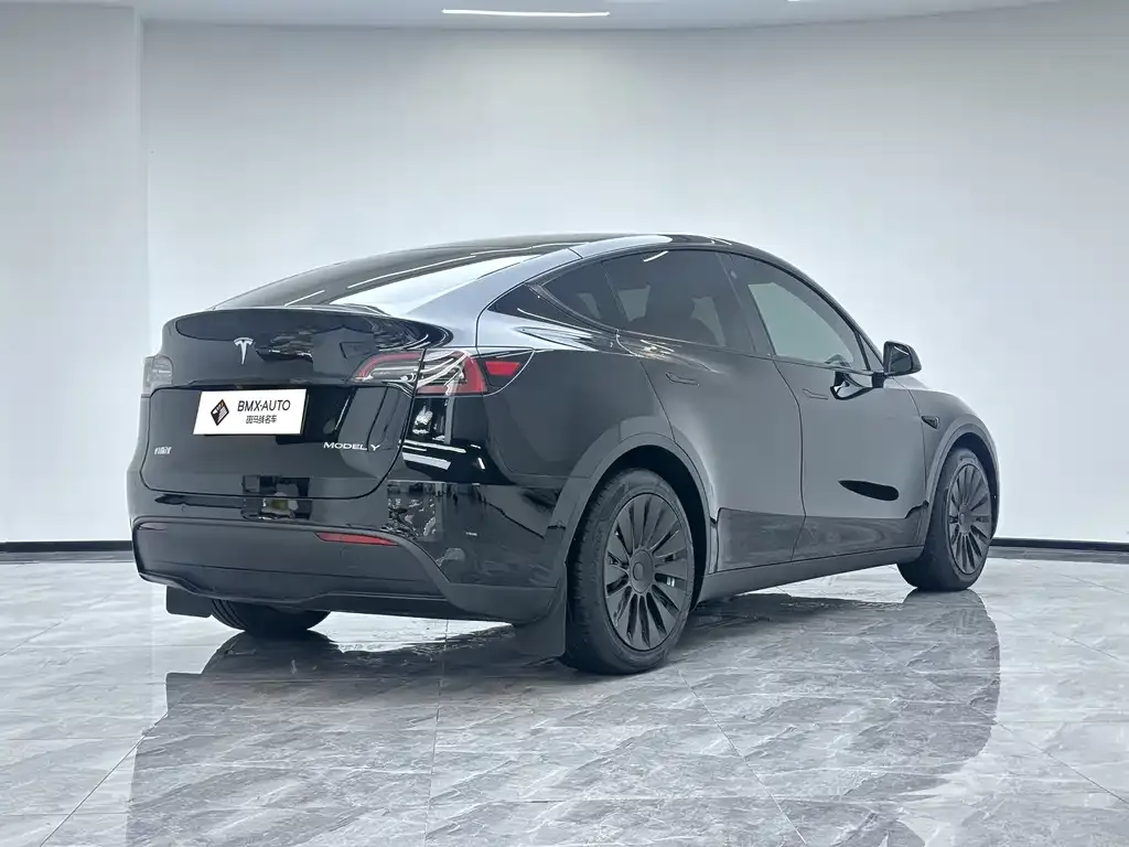 Tesla Model Y — фото 8