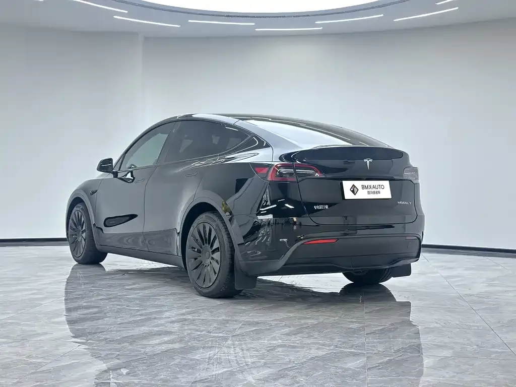 Tesla Model Y — фото 7