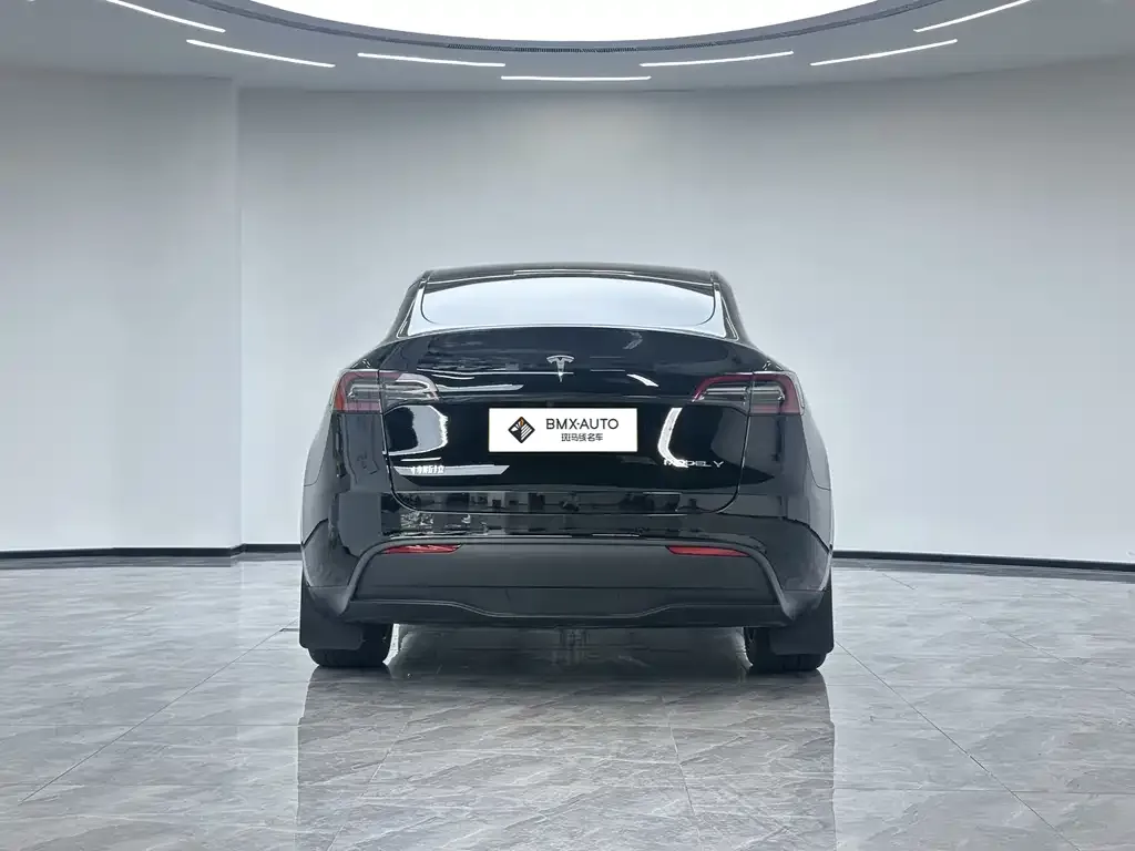 Tesla Model Y — фото 2