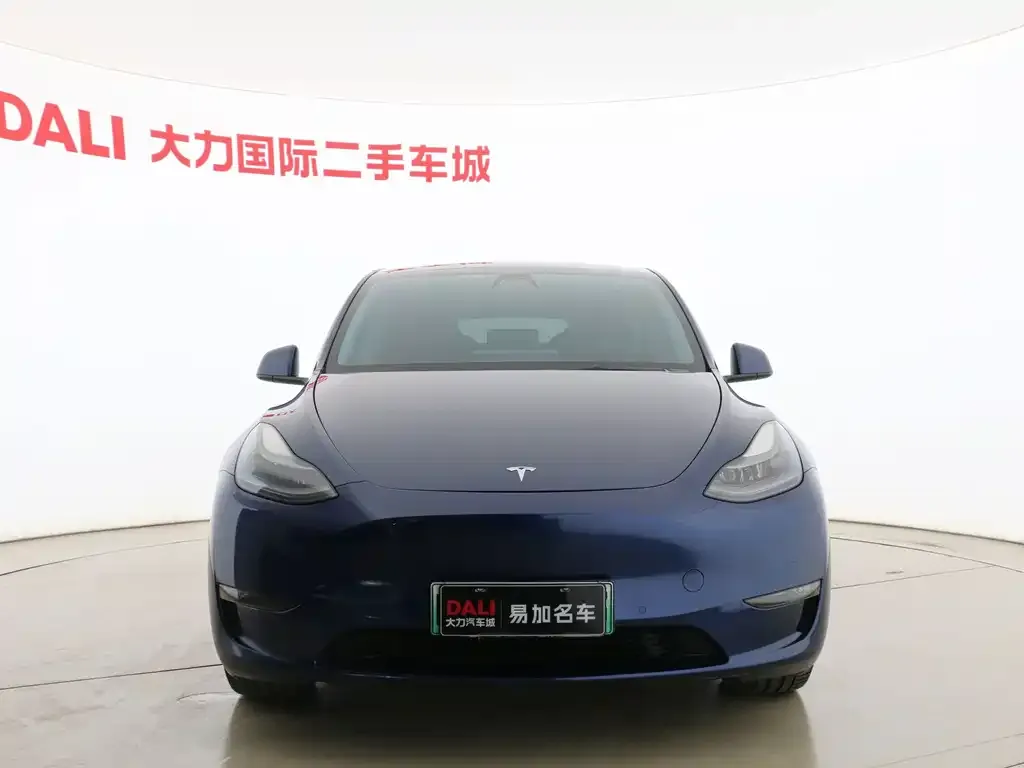 Tesla Model Y — фото 8