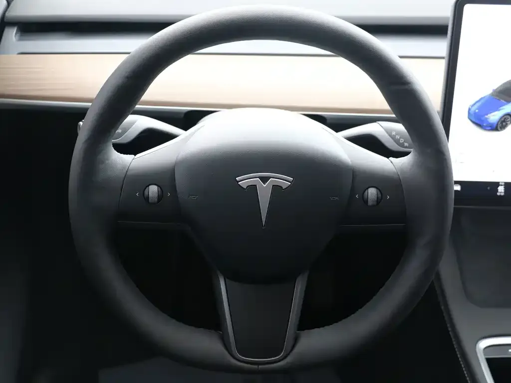 Tesla Model Y — фото 10