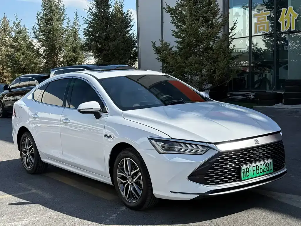 BYD Qin PLUS — фото 1