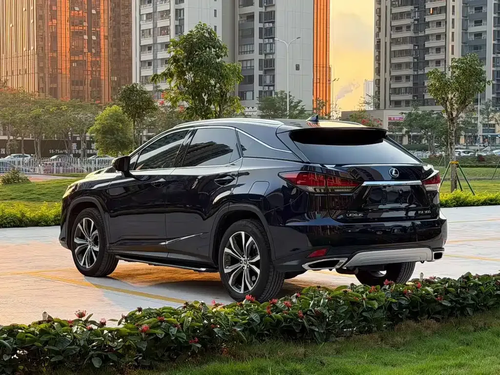 Lexus RX — фото 9