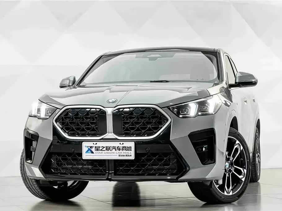 BMW X2 (Import) — фото 10