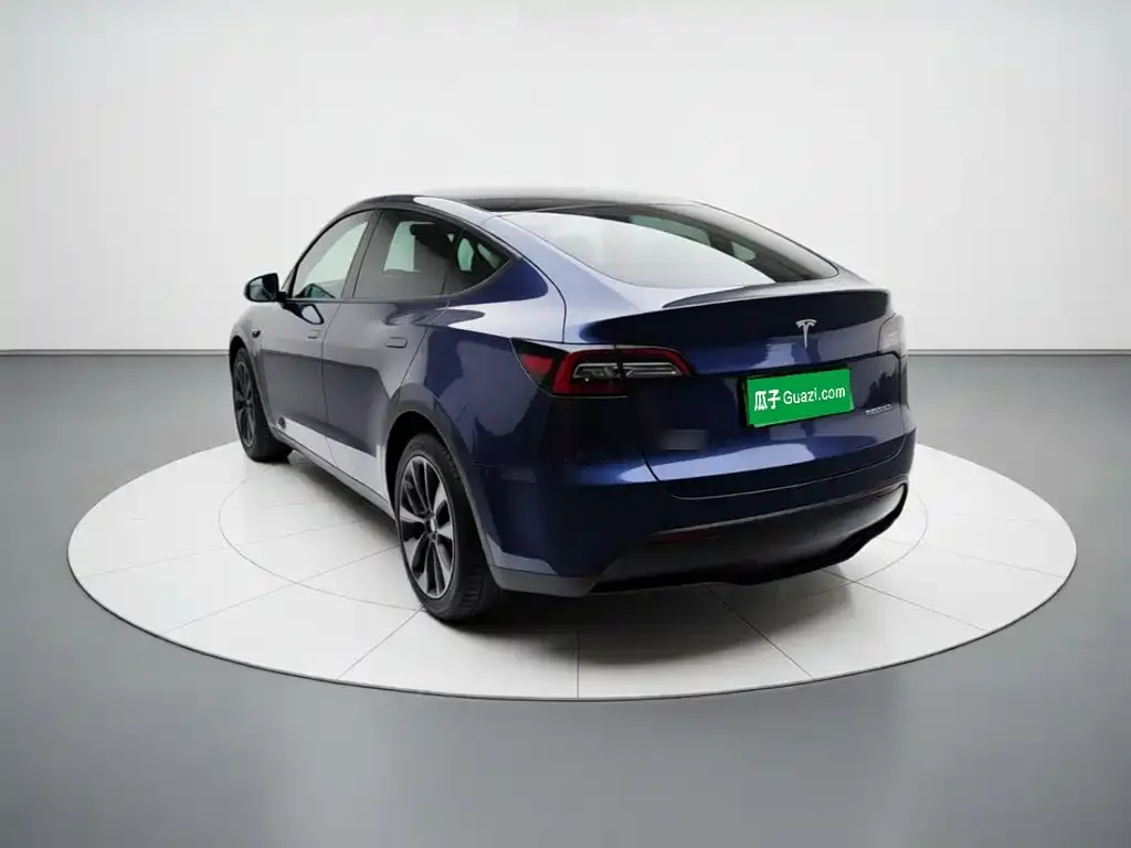 Tesla Model Y — фото 6