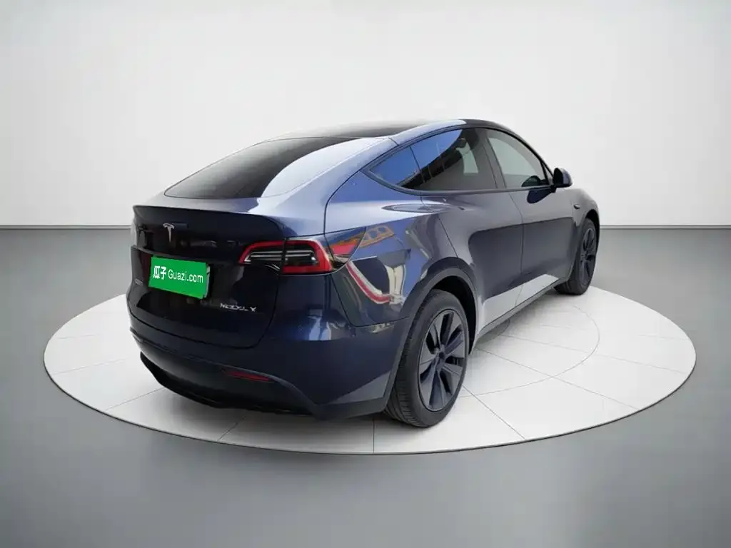 Tesla Model Y — фото 2