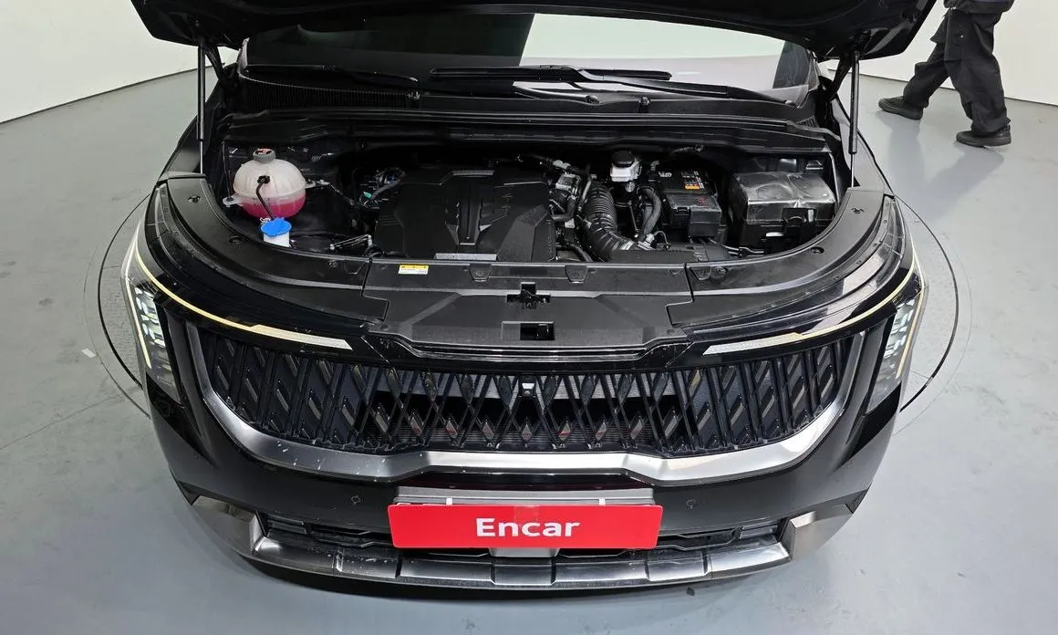 Kia Carnival — фото 10