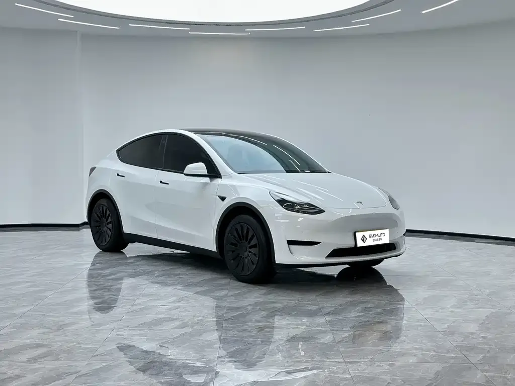 Tesla Model Y — фото 5