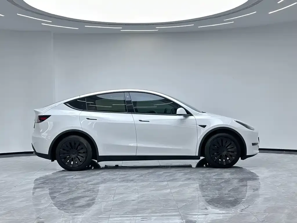 Tesla Model Y — фото 10