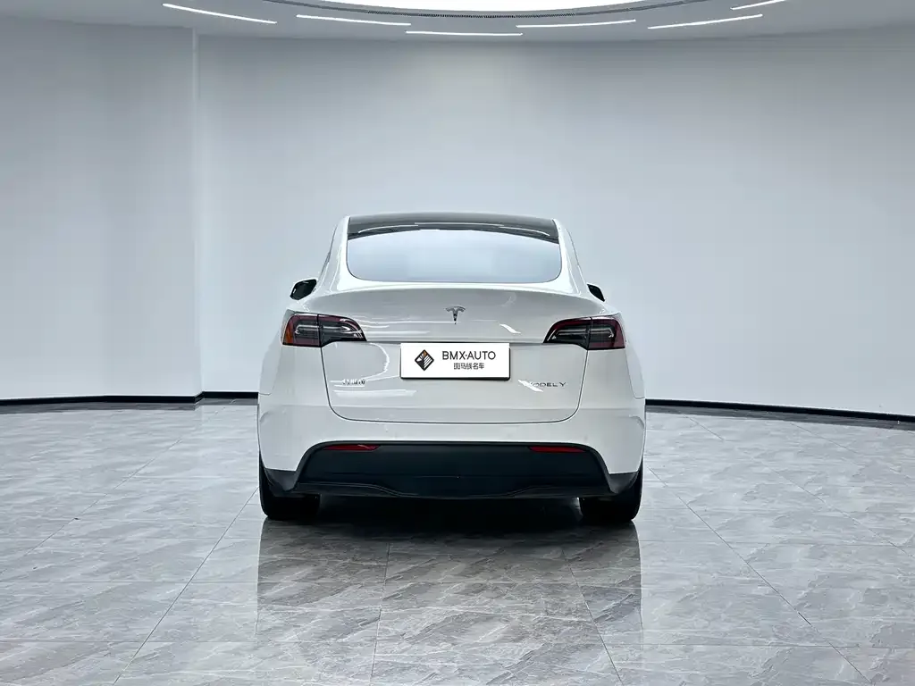 Tesla Model Y — фото 4