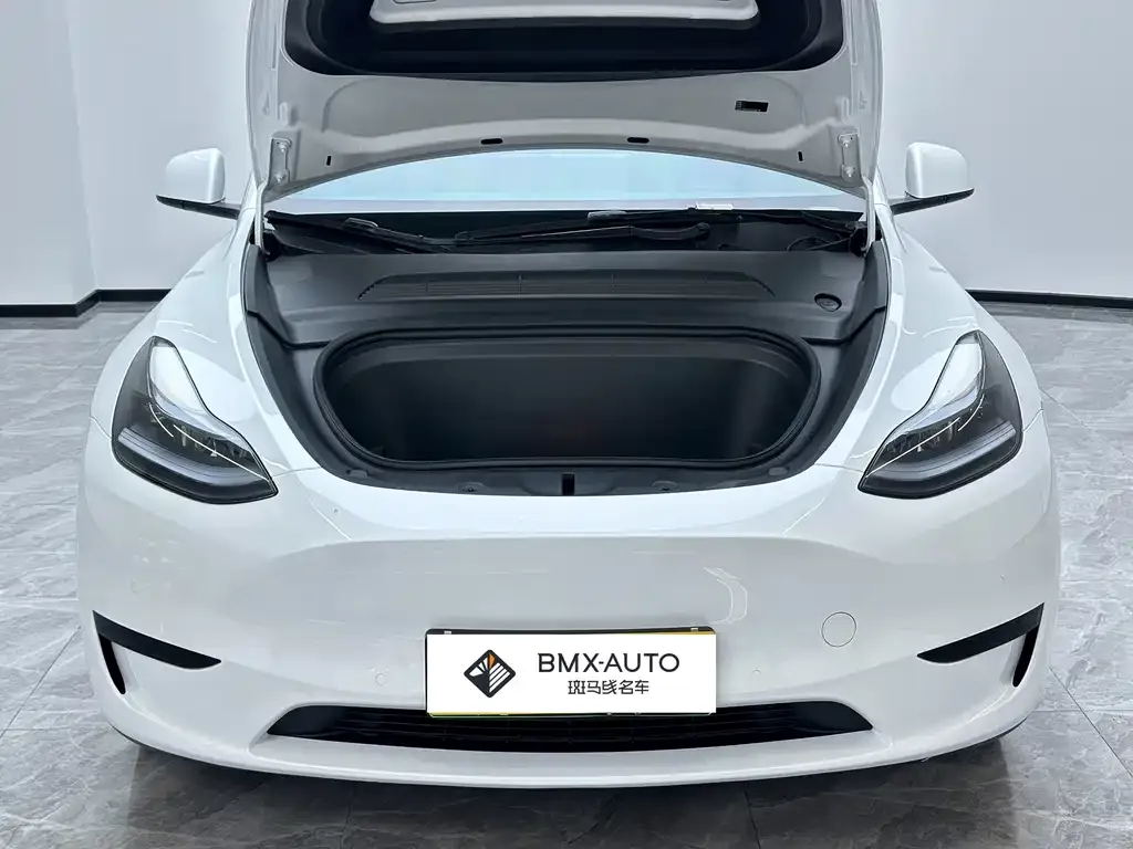 Tesla Model Y — фото 2