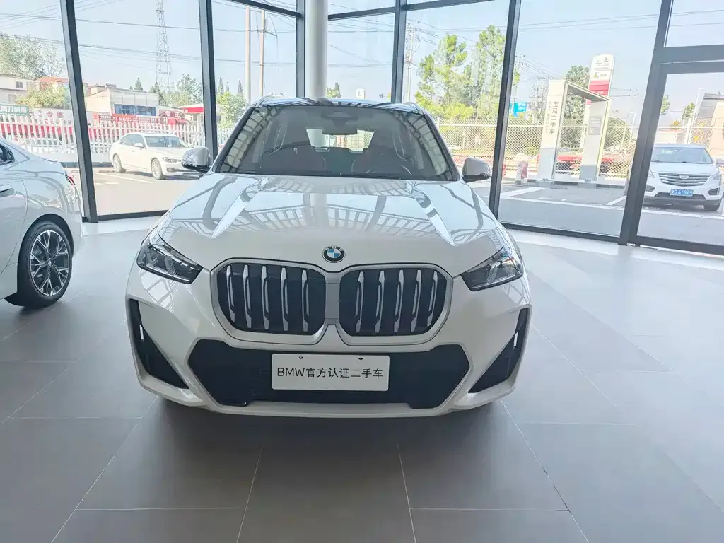 BMW X1 — фото 10