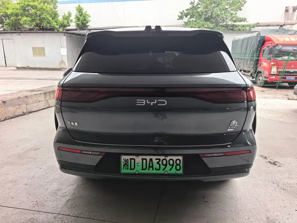 BYD Tang L — фото 3