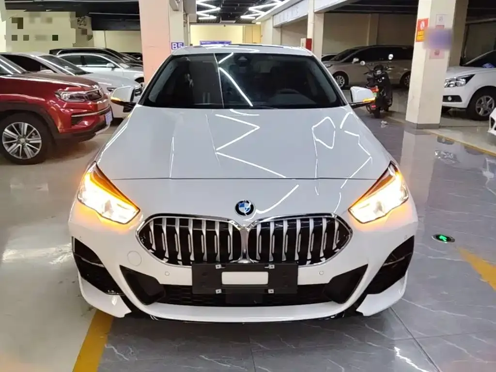 BMW 2 Series (Import) — фото 10