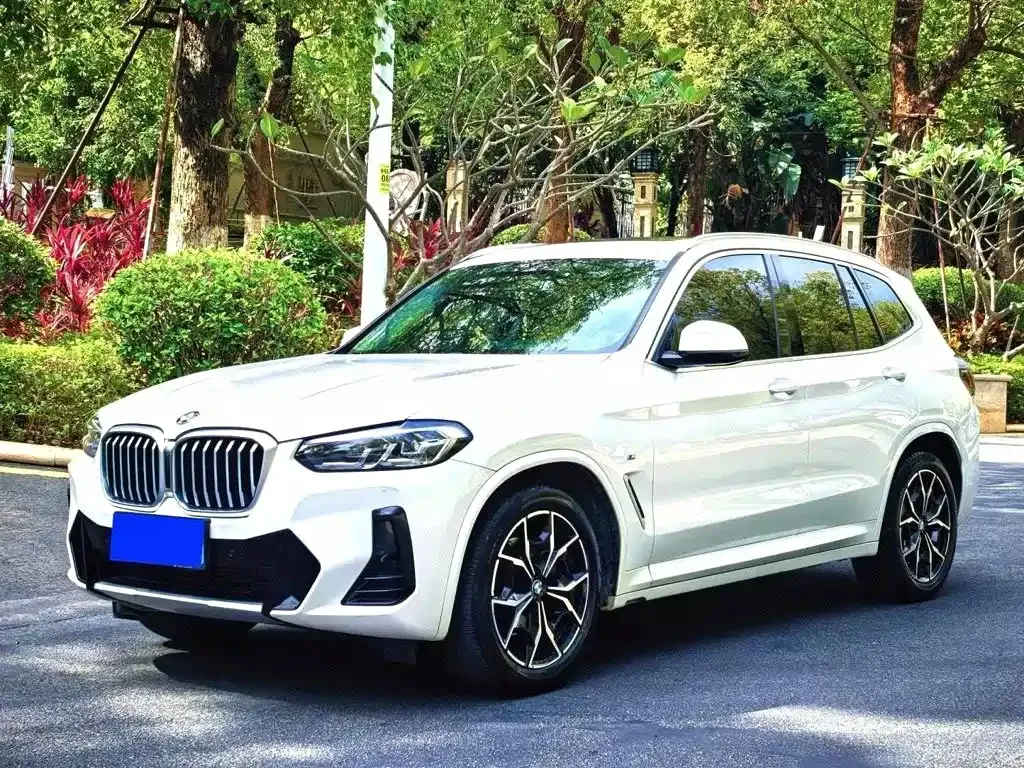 BMW X3 — фото 1