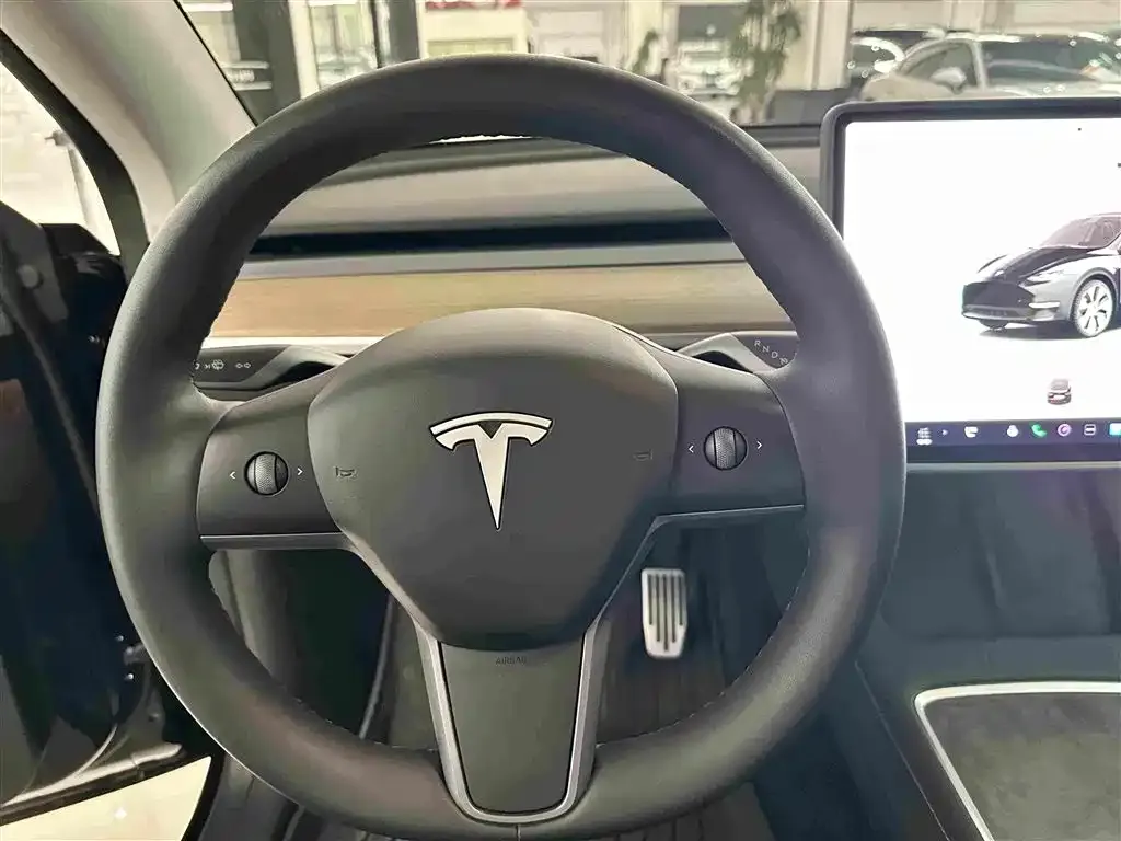 Tesla Model Y — фото 10