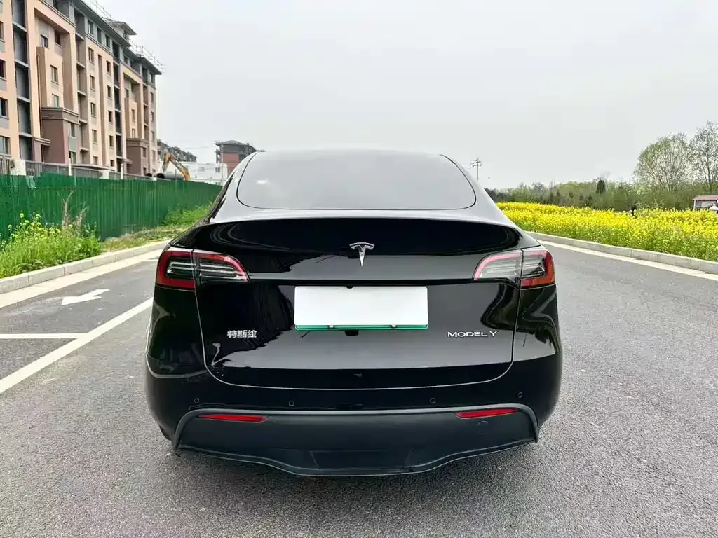 Tesla Model Y — фото 8