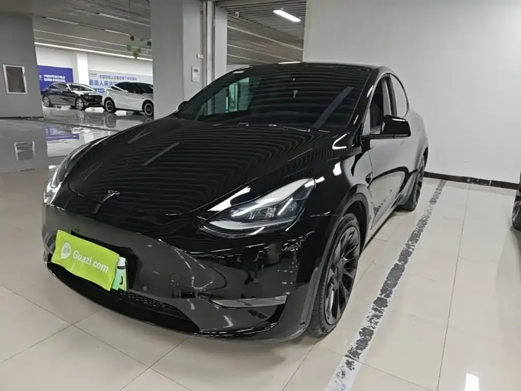 Tesla Model Y — фото 5