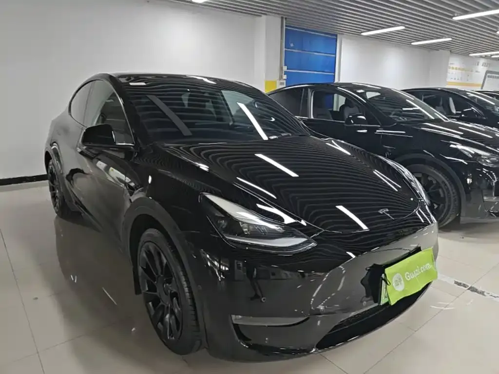 Tesla Model Y — фото 9