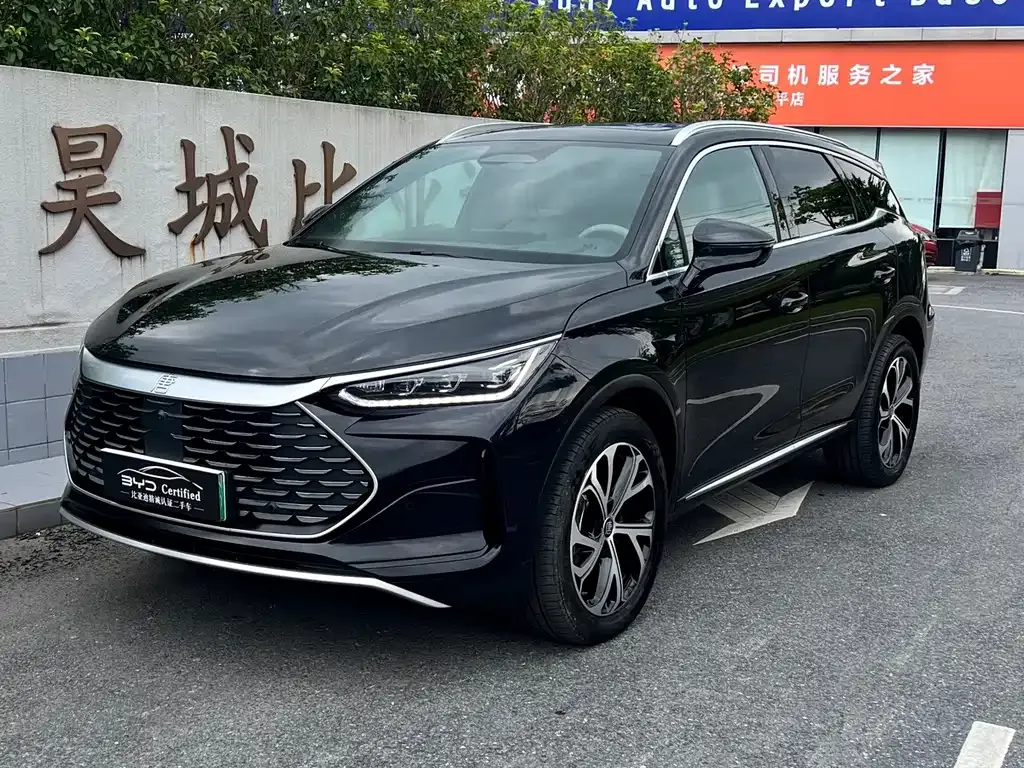 BYD Tang New Energy — фото 1