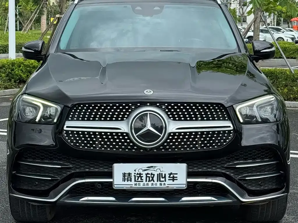 Mercedes-Benz GLE (Import) — фото 7