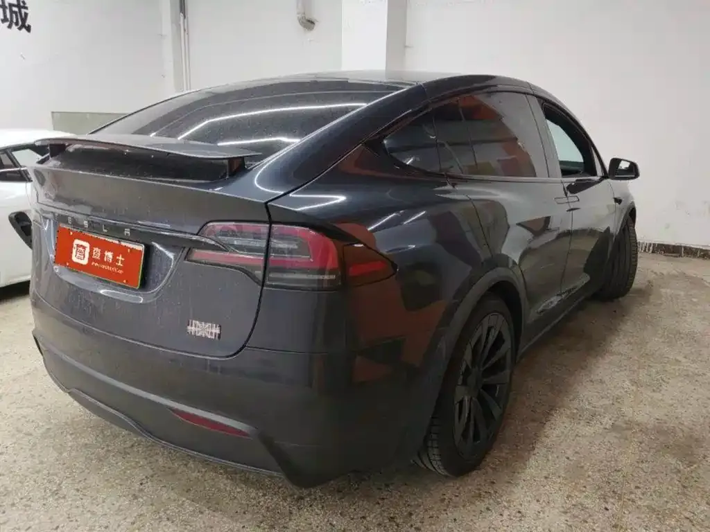 Tesla Model X — фото 6
