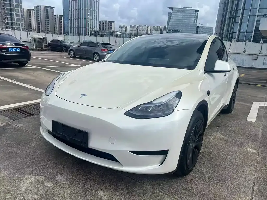 Tesla Model Y — фото 1