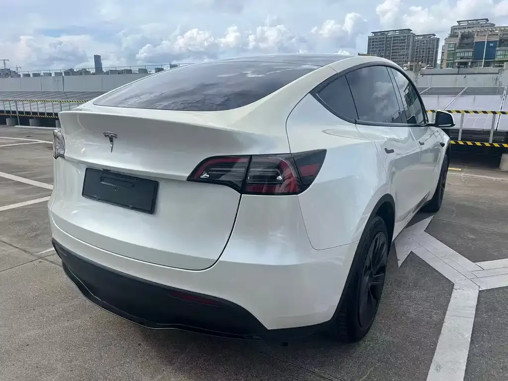 Tesla Model Y — фото 9