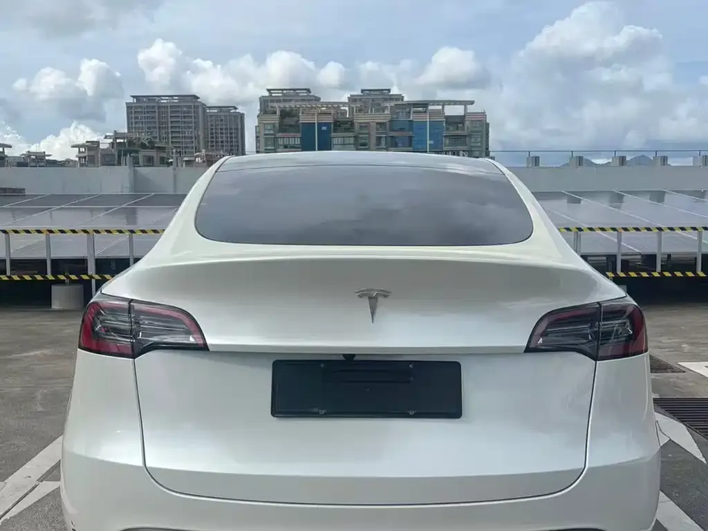 Tesla Model Y — фото 2