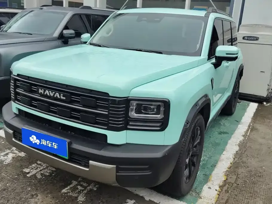 Haval Menglong New Energy — фото 1
