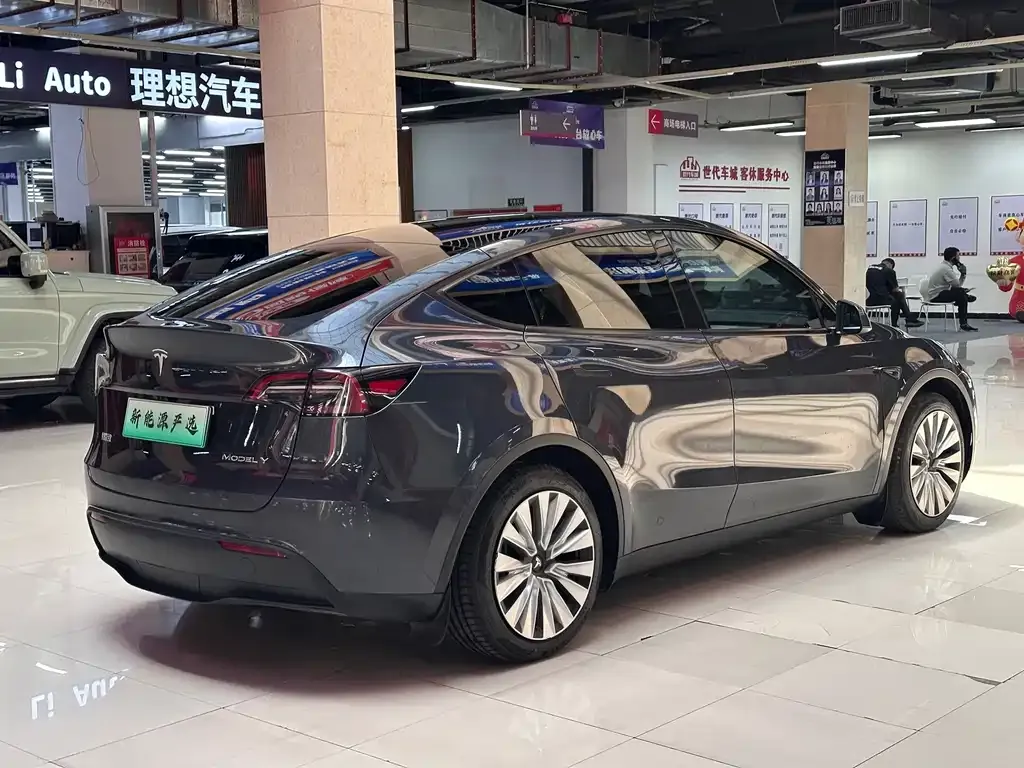 Tesla Model Y — фото 9