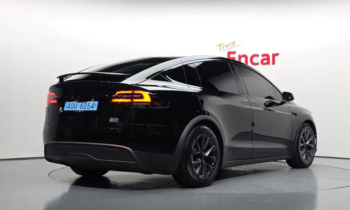 Tesla Model X — фото 6