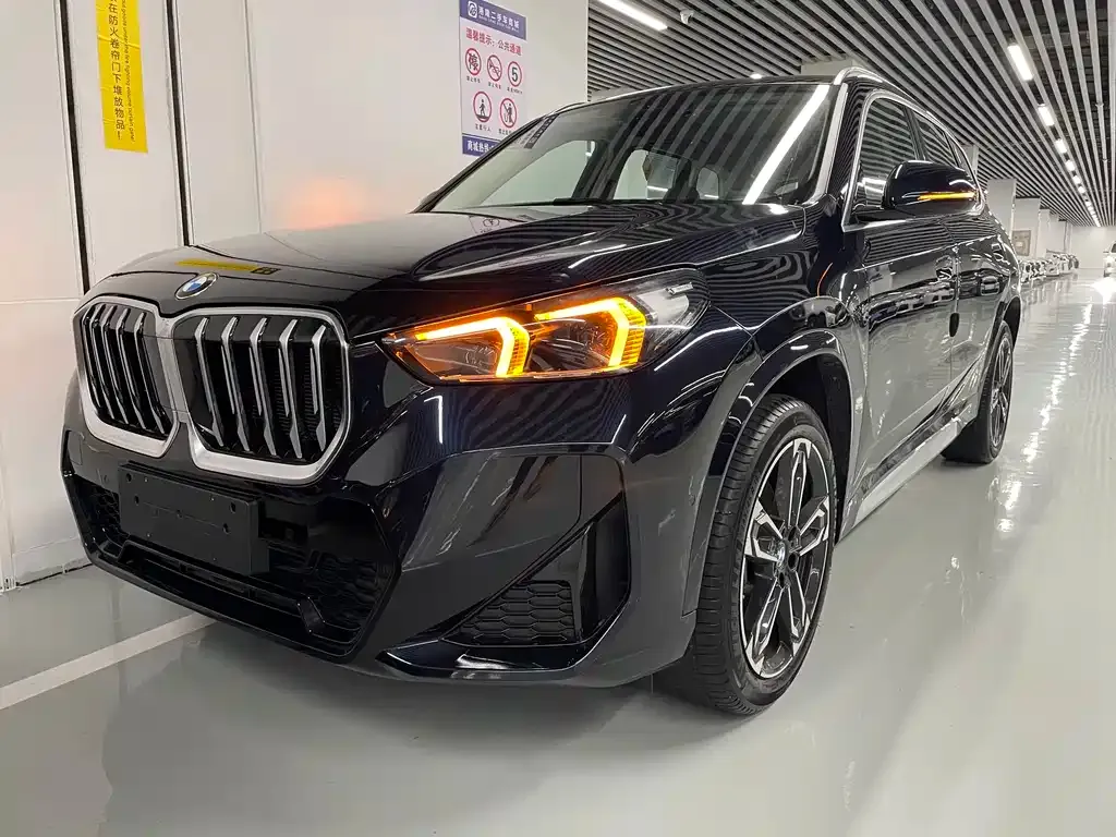 BMW X1 — фото 1