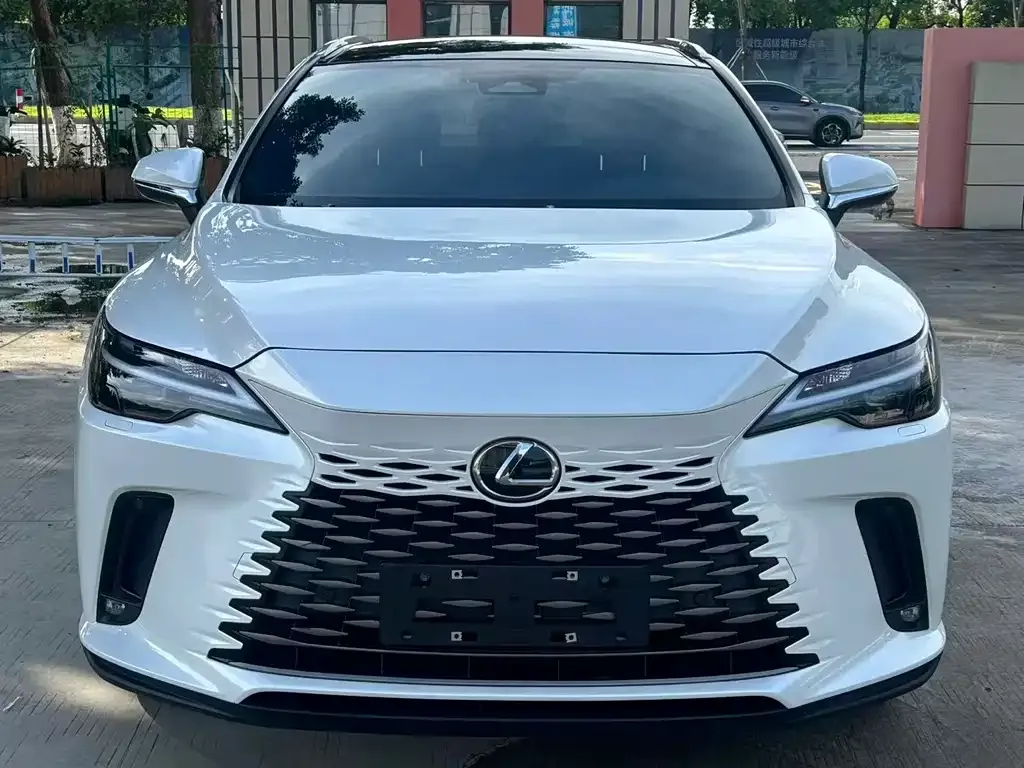 Lexus RX — фото 5