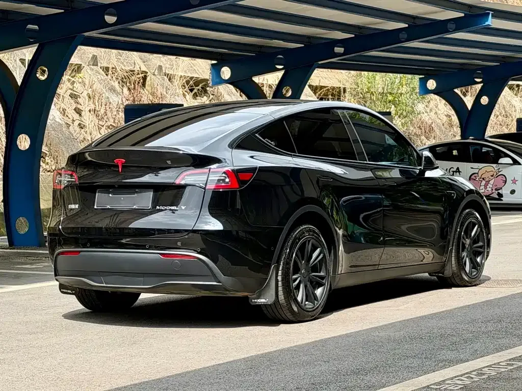 Tesla Model Y — фото 2