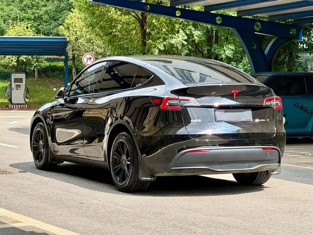 Tesla Model Y — фото 7