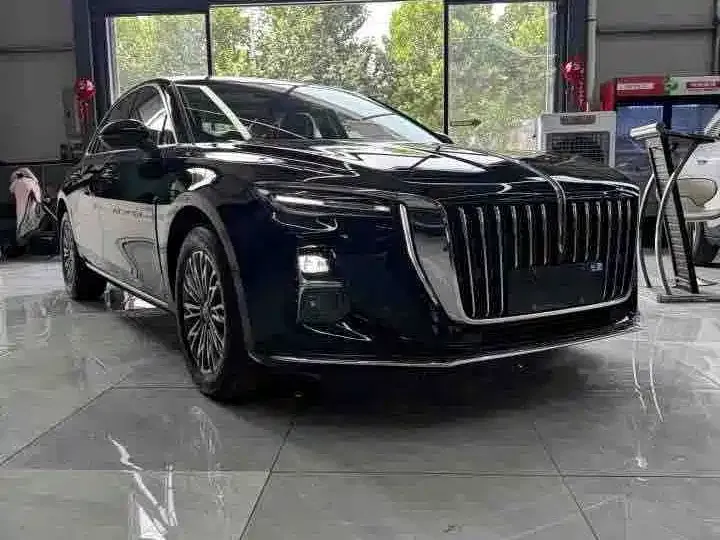 Hongqi H5 — фото 3
