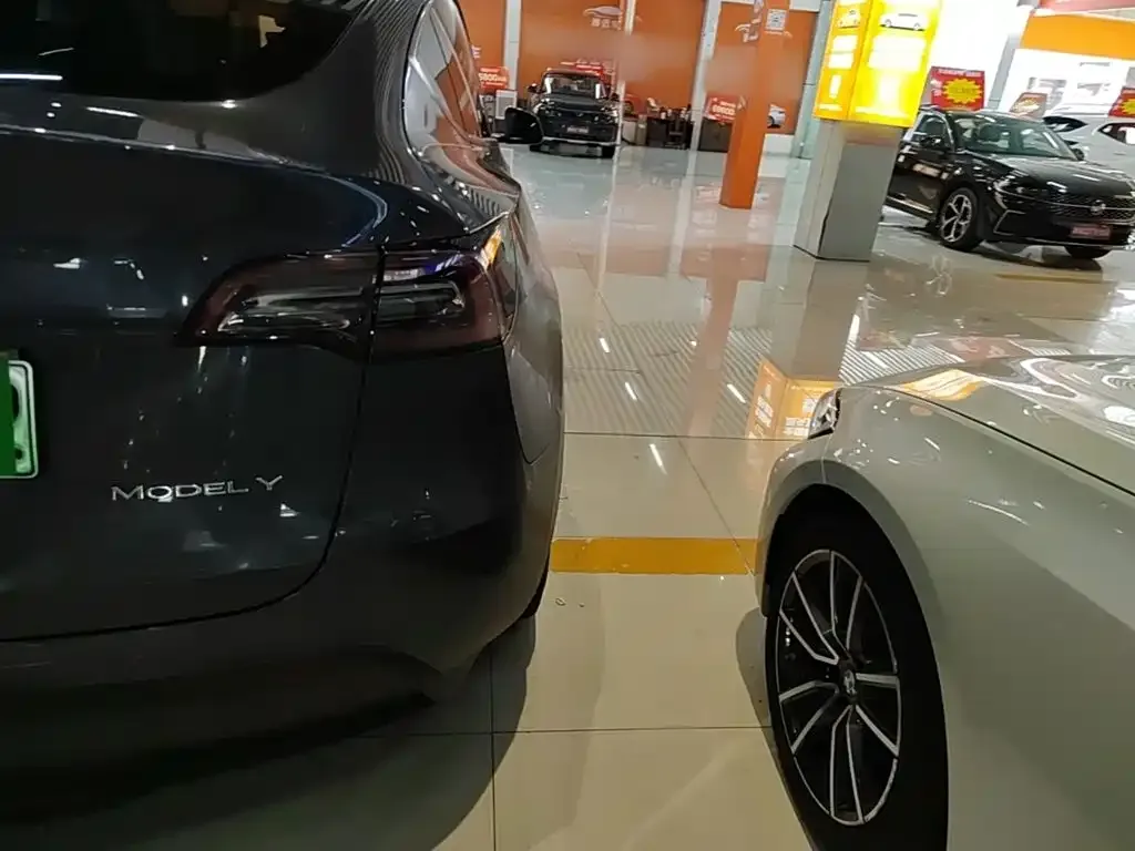 Tesla Model Y — фото 9