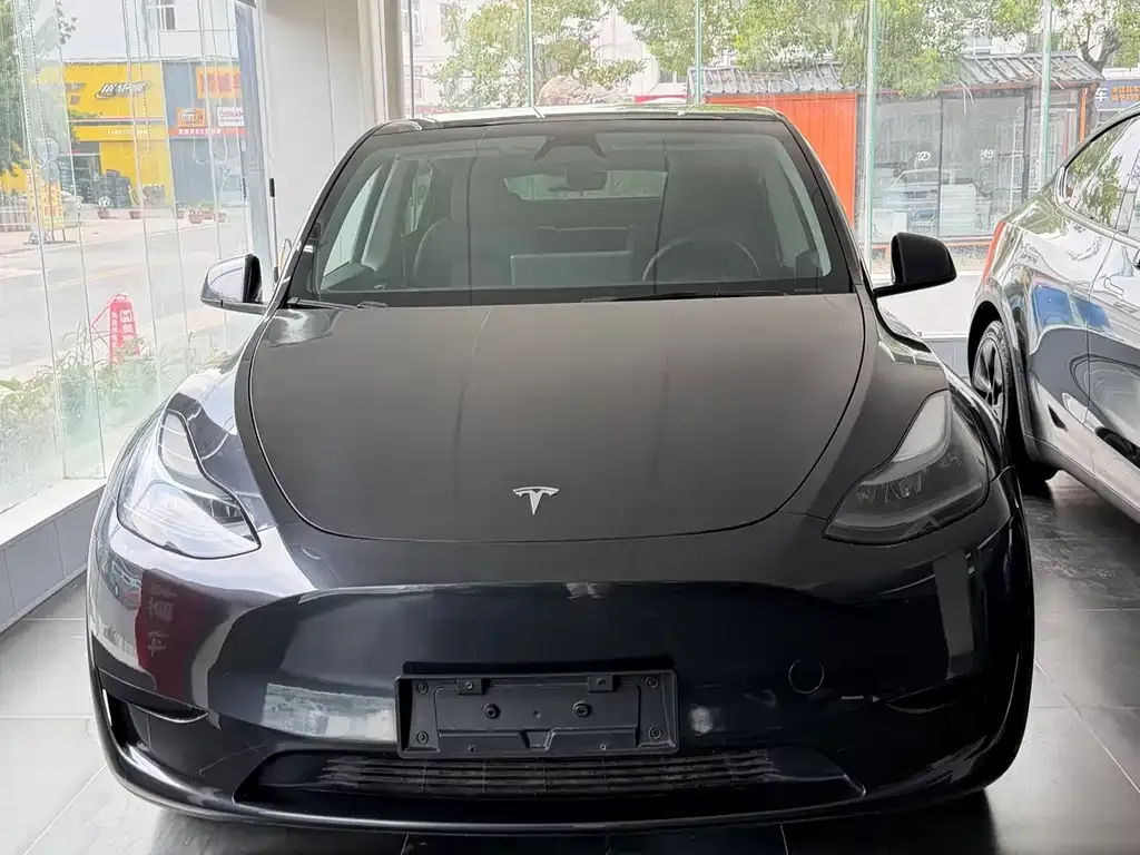 Tesla Model Y — фото 6