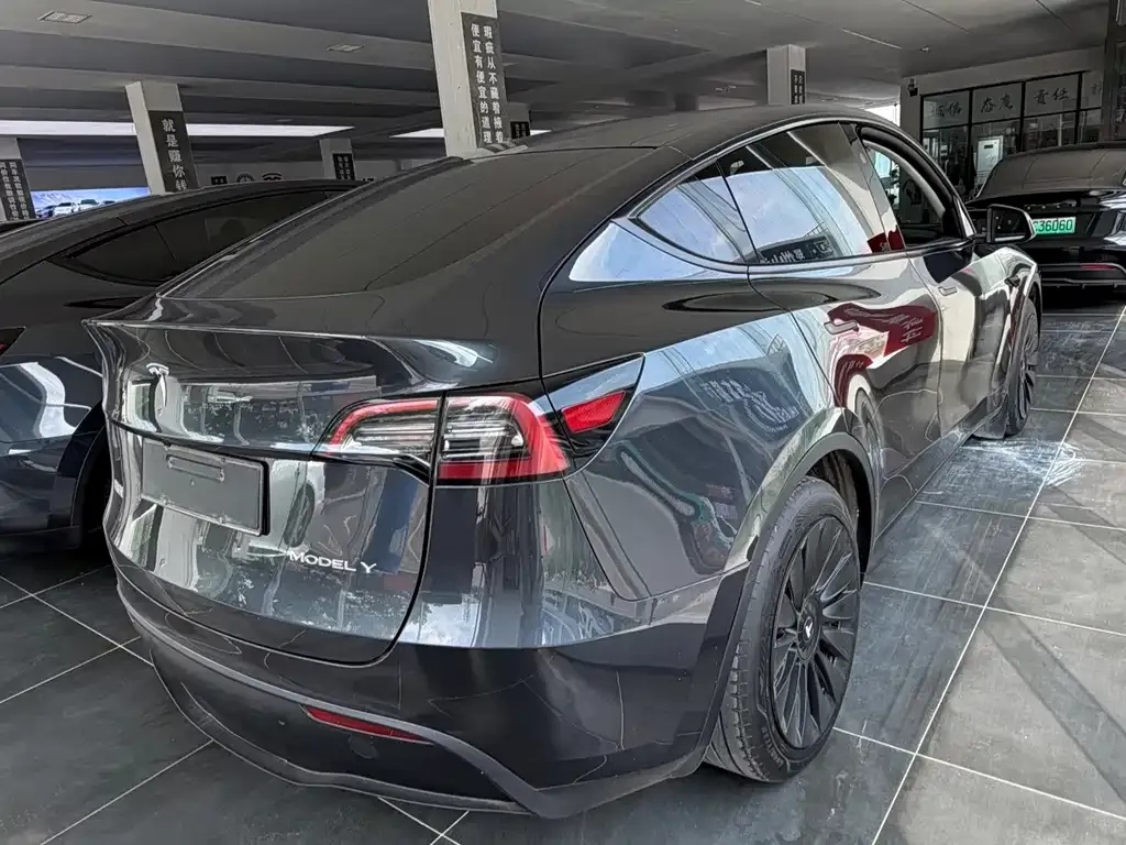 Tesla Model Y — фото 8