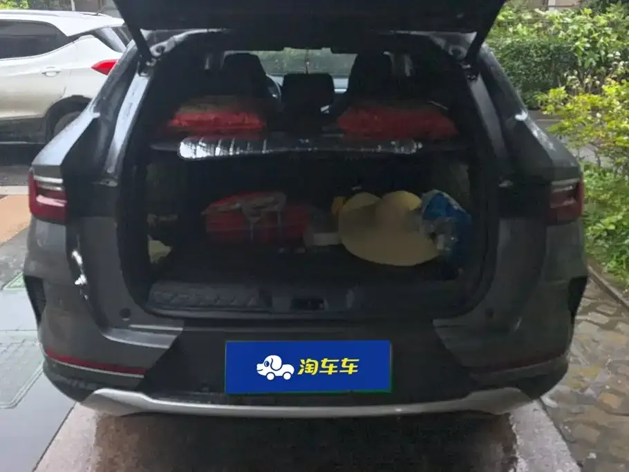 BYD PLUS New Energy — фото 2