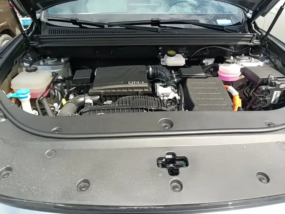 BYD Pro New Energy — фото 2