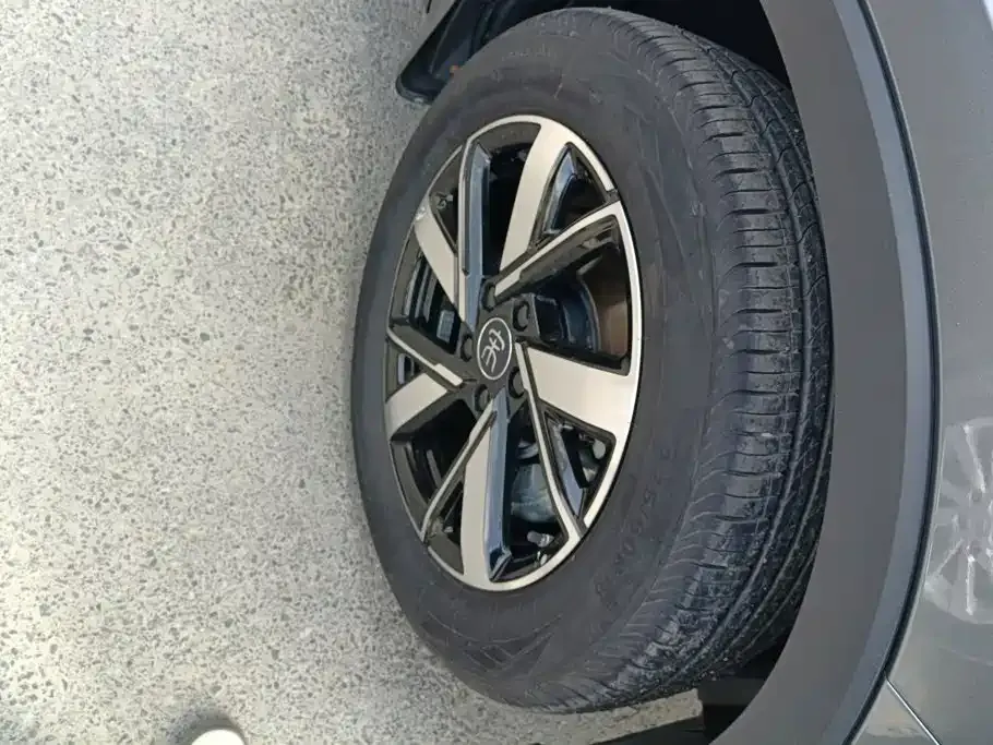 BYD Pro New Energy — фото 7