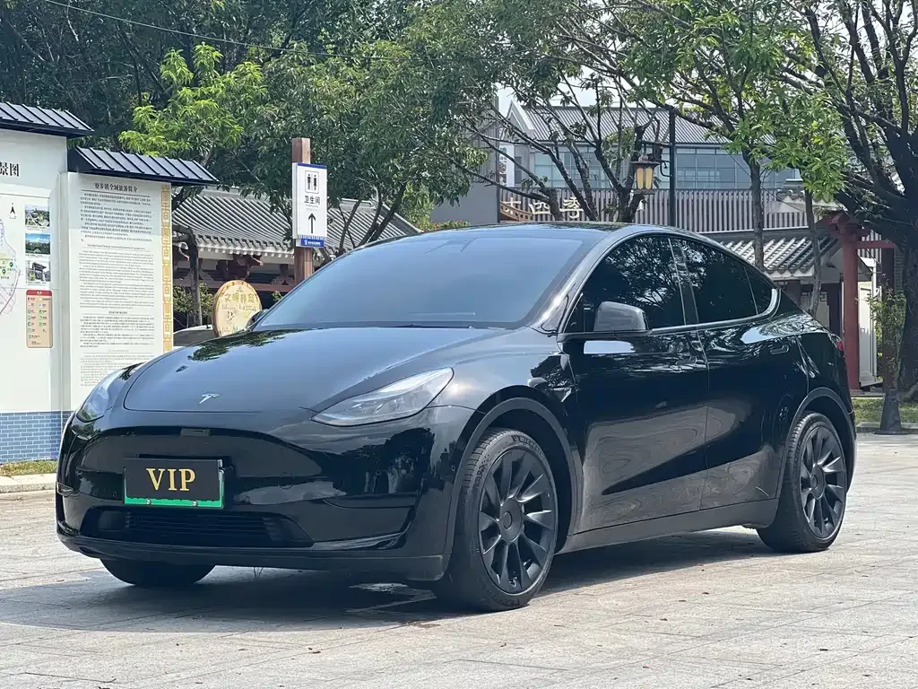 Tesla Model Y — фото 1
