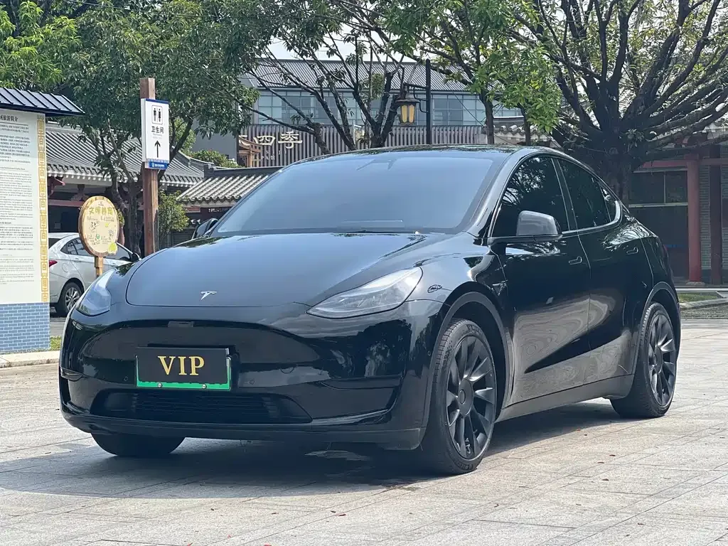Tesla Model Y — фото 5