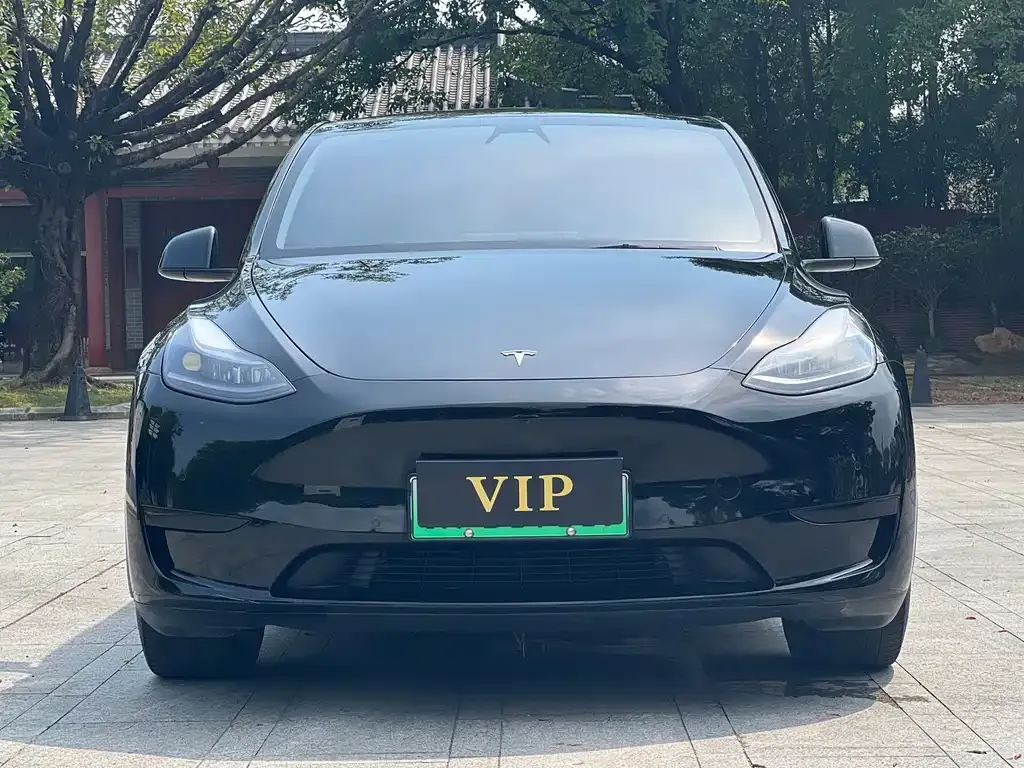 Tesla Model Y — фото 6