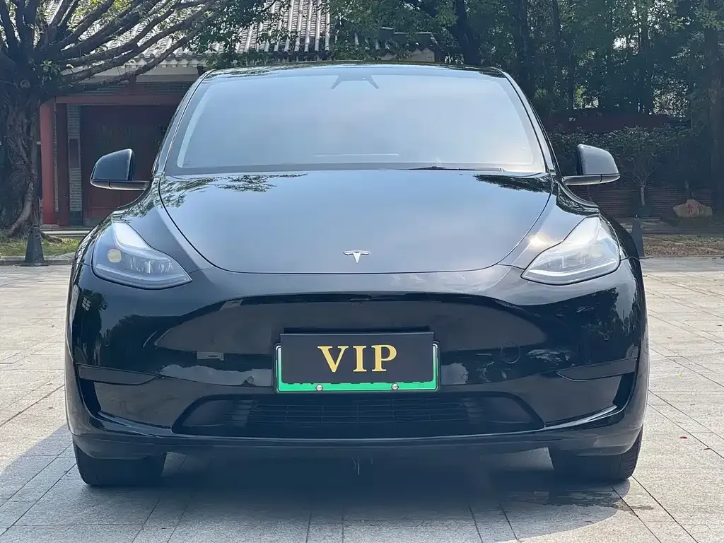 Tesla Model Y — фото 7