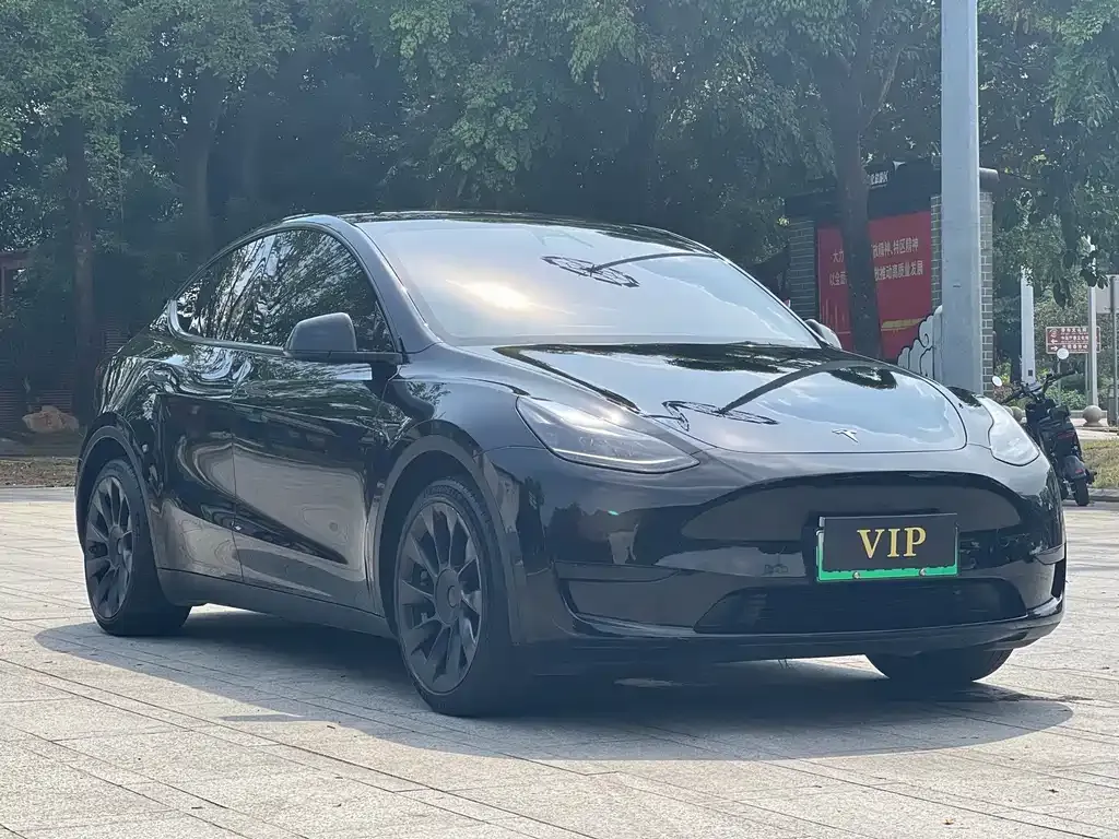Tesla Model Y — фото 4