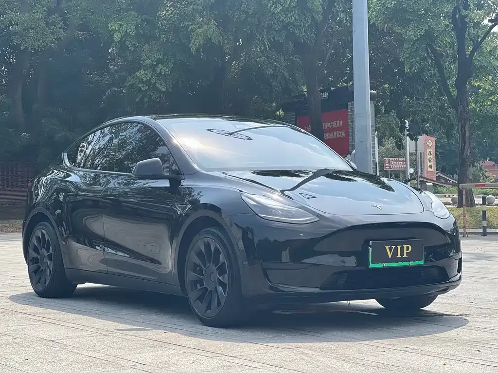 Tesla Model Y — фото 9
