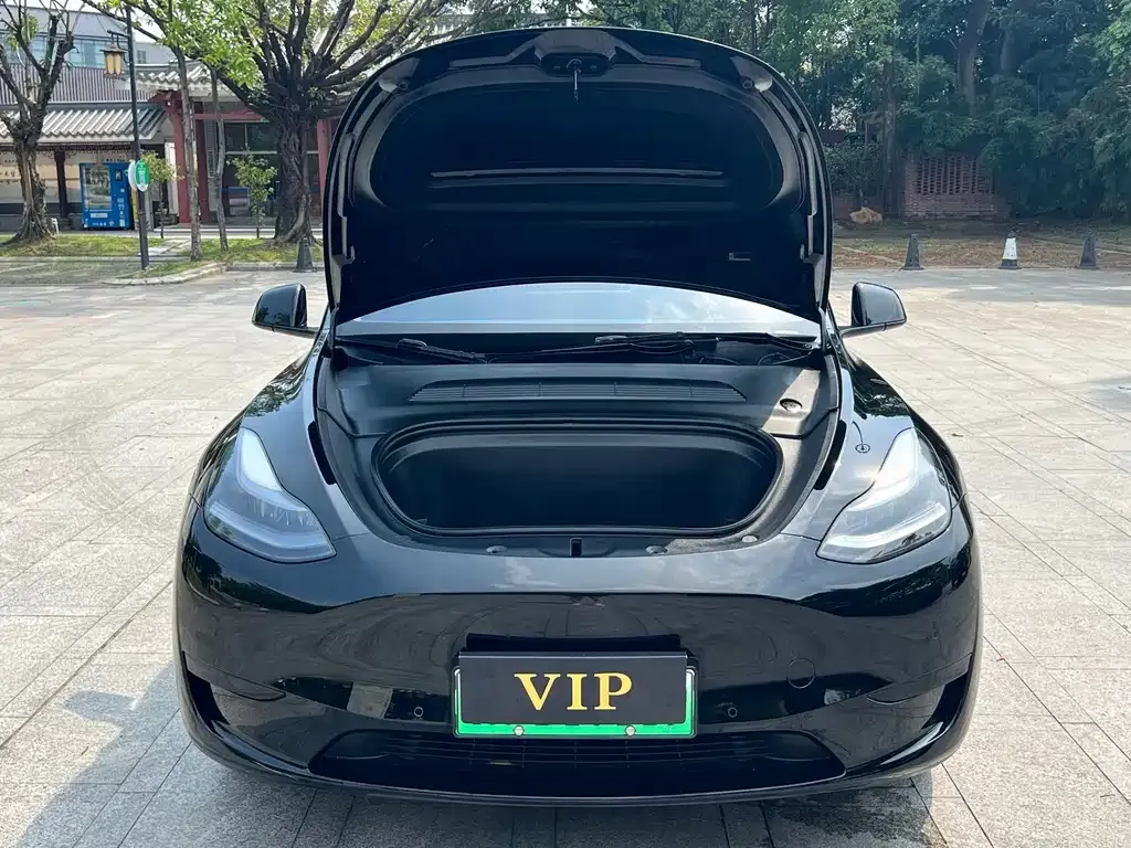 Tesla Model Y — фото 2